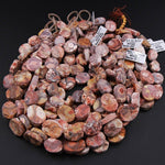 Natural Bird's Eye Rhyolite Beads Half Rough Half Polished Raw Druzy Drusy  15mm x 20mm Oval Beads 16" Strand