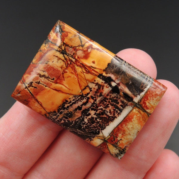 Red Creek Jasper Cherry Creek Jasper Multicolor Picasso Jasper Undrilled Rectangle Natural Stone Cabochon Cab C166