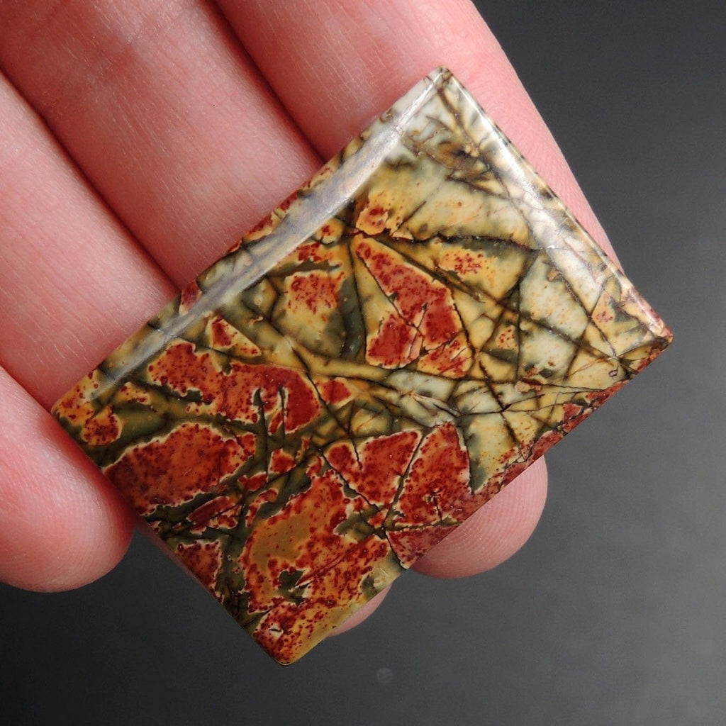 Red Creek Jasper Cherry Creek Jasper Multicolor Picasso Jasper Undrilled Rectangle Natural Stone Cabochon Cab C168