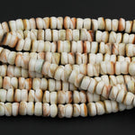 Shiva Eye Shell Beads Large Thick Rondelle Saucer Wheel Organic Natural Shell Nugget White Orange Green Brown Shell Beads 17" Strand