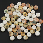 Shiva Eye Shell Beads Large Thick Rondelle Saucer Wheel Organic Natural Shell Nugget White Orange Green Brown Shell Beads 17" Strand