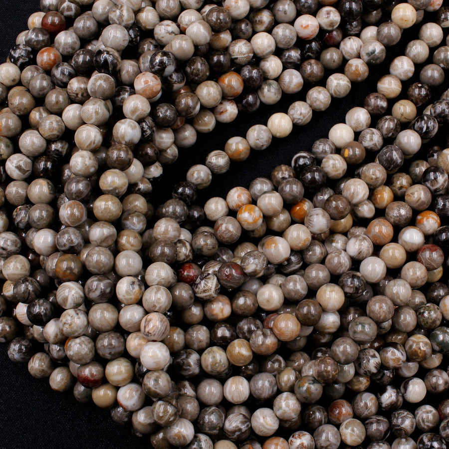 Natural Fossil Coral 6mm Round Beads Dark Grey Brown Tan Beige Beads 16" Strand
