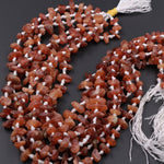 Hessonite Garnet Nugget Matte Finish Large Raw Rough Organic Orange Brown Garnet Freeform Hand Cut Tumbled Irregular Chip Nuggets 18" Strand