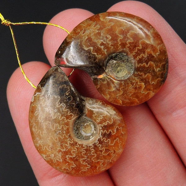Drilled Whole Small Ammonite Earring Pair Matched Full Baby Ammonite Fossil Cabochon Cab Pair Drilled Matched Earrings Bead Pair E3295