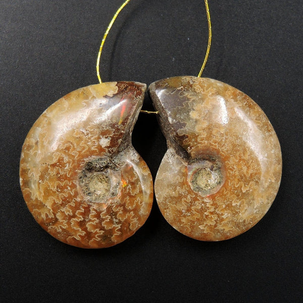 Drilled Whole Small Ammonite Earring Pair Matched Full Baby Ammonite Fossil Cabochon Cab Pair Drilled Matched Earrings Bead Pair E3296