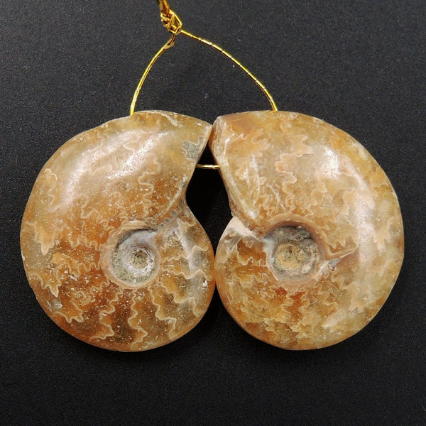Drilled Whole Small Ammonite Earring Pair Matched Full Baby Ammonite Fossil Cabochon Cab Pair Drilled Matched Earrings Bead Pair E3292