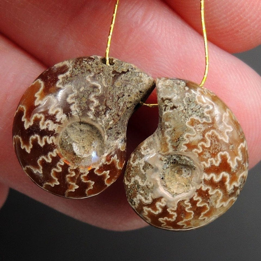 Drilled Whole Small Ammonite Earring Pair Matched Full Baby Ammonite Fossil Cabochon Cab Pair Drilled Matched Earrings Bead Pair E3285