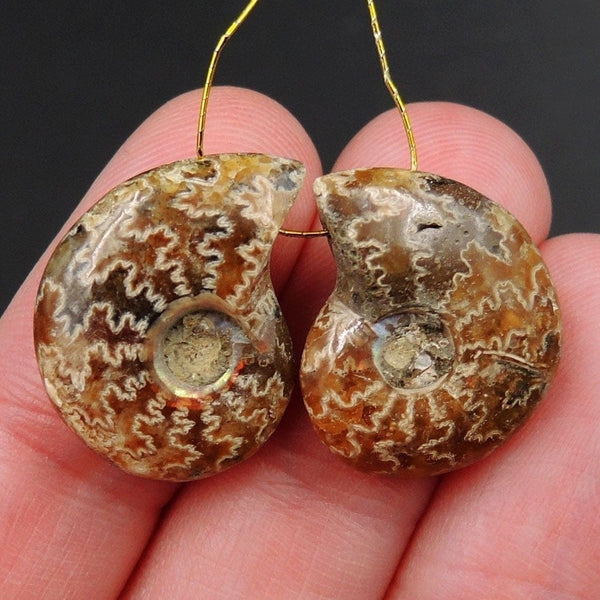 Drilled Whole Small Ammonite Earring Pair Matched Full Baby Ammonite Fossil Cabochon Cab Pair Drilled Matched Earrings Bead Pair E3288
