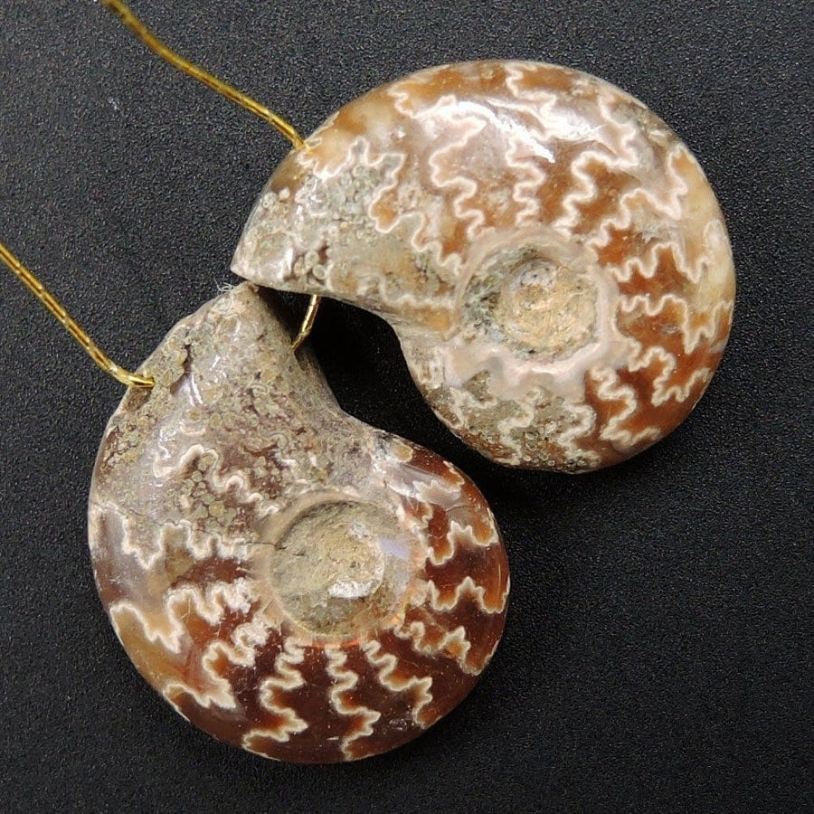 Drilled Whole Small Ammonite Earring Pair Matched Full Baby Ammonite Fossil Cabochon Cab Pair Drilled Matched Earrings Bead Pair E3285