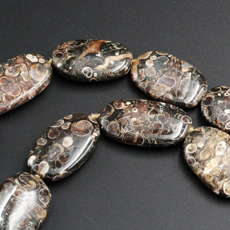 Large Oval Turritella Fossil Agate Beads Huge Freeform Irregular Focal Bead Pendant Nuggets Earthy Brown Fossil Drilled 16" Strand