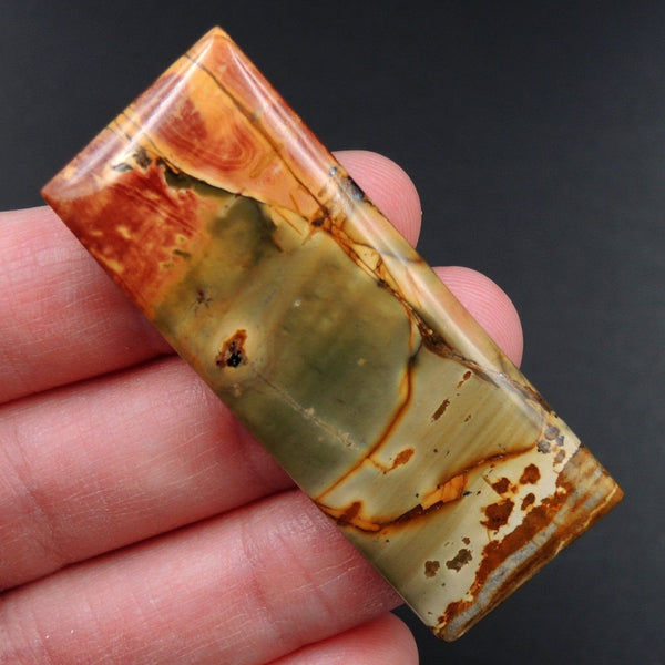 Red Creek Jasper Cherry Creek Jasper Multicolor Picasso Jasper Undrilled Rectangle Natural Stone Cabochon Cab C253