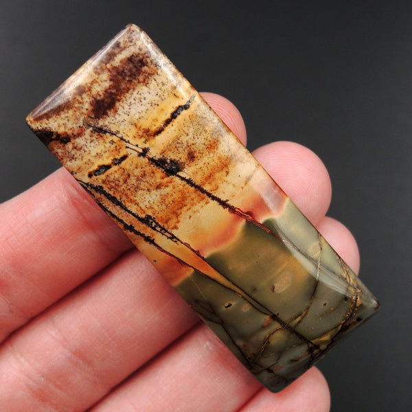 Red Creek Jasper Cherry Creek Jasper Multicolor Picasso Jasper Undrilled Rectangle Natural Stone Cabochon Cab C262
