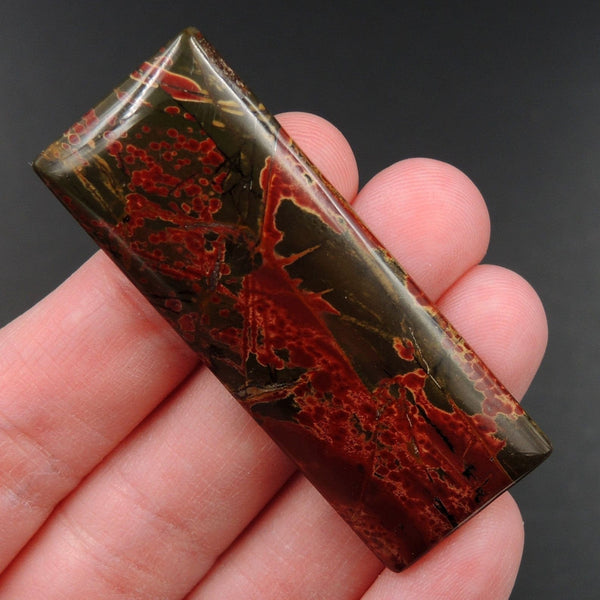 Red Creek Jasper Cherry Creek Jasper Multicolor Picasso Jasper Undrilled Rectangle Natural Stone Cabochon Cab C255