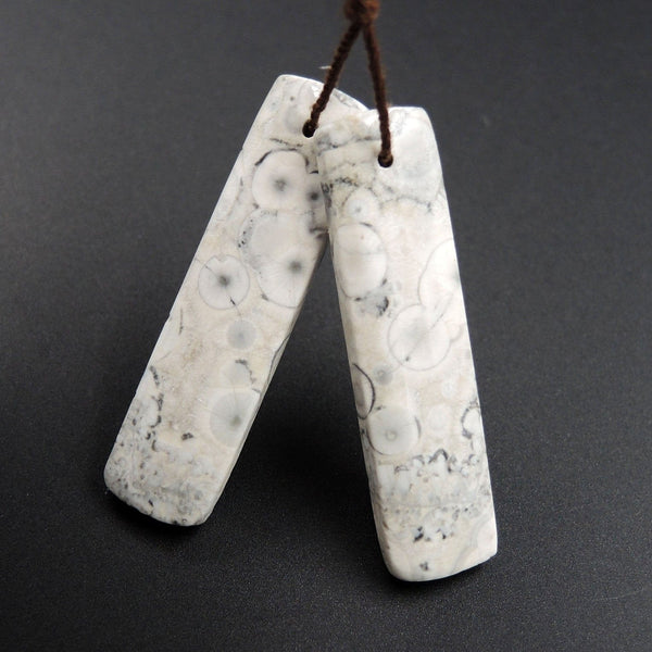 Natural Galaxy Jasper Earring Pair Rectangle Cabochon Cab Pair Drilled Matched Earrings Bead Pair Natural Stone E2676