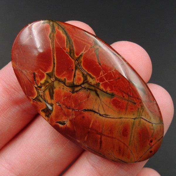 Red Creek Jasper Undrilled Multicolored Oval Natural Stone Cabochon Cab C195