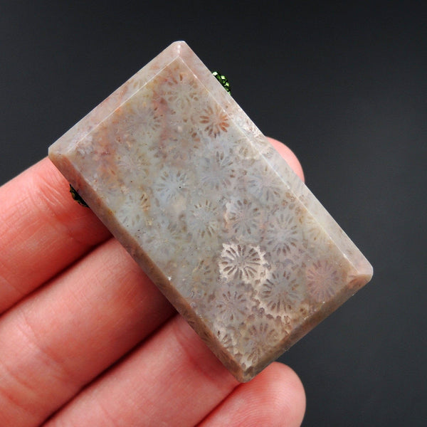 Fossil Coral Pendant  Drilled Natural Beveled Rectangle Pendant P1313