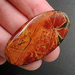 Red Creek Jasper Undrilled Multicolored Oval Natural Stone Cabochon Cab C193