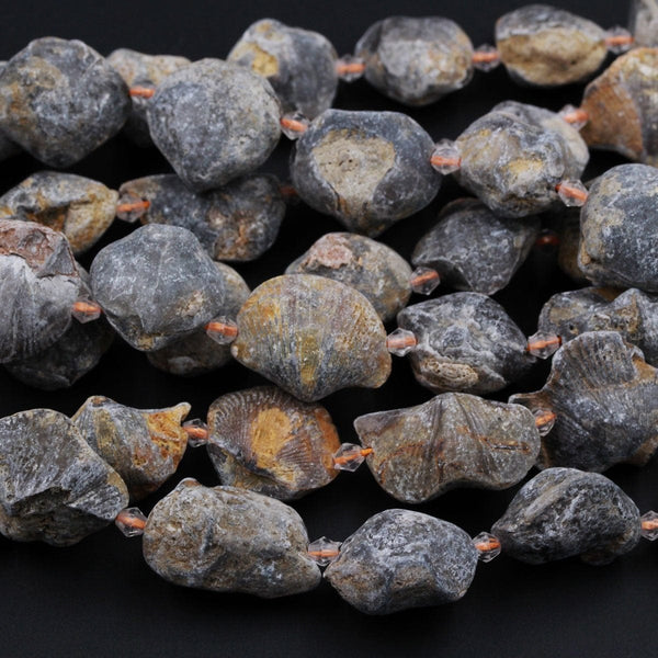 Fossil Shell Beads Rough Raw Organic Natural Ancient Fossil Nugget Black Brown Unique Freeform Irregular Whole Shell Beads 16" Strand