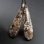 Natural Turritella Agate Fossil Earring Pair Cabochon Cab Pair Drilled Teardrop Matched Earrings Bead Pair E2448