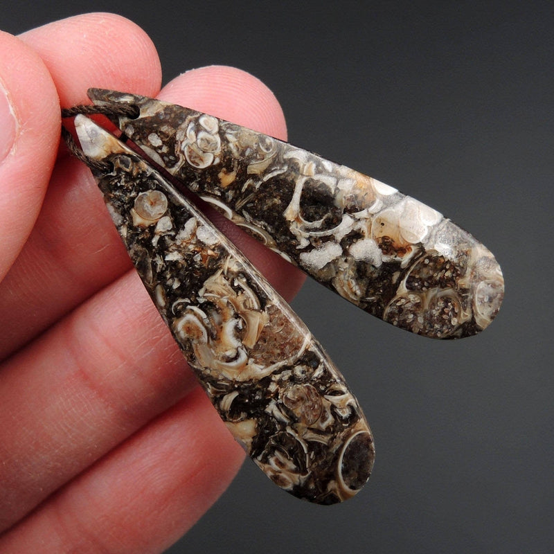 Natural Turritella Agate Fossil Earring Pair Cabochon Cab Pair Drilled Teardrop Matched Earrings Bead Pair E2448