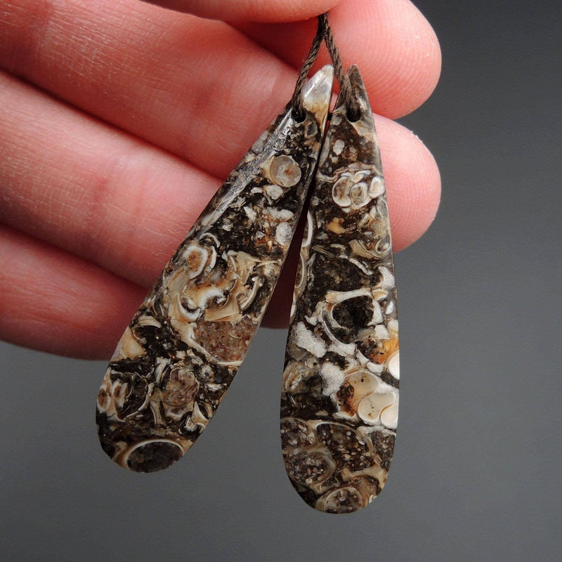 Natural Turritella Agate Fossil Earring Pair Cabochon Cab Pair Drilled Teardrop Matched Earrings Bead Pair E2448