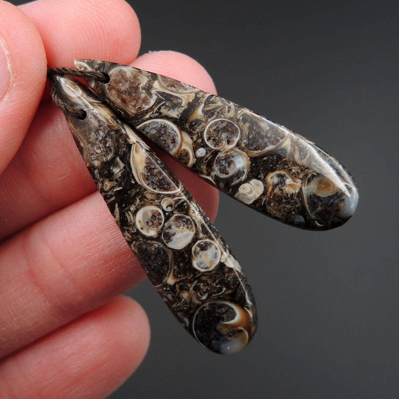 Natural Turritella Agate Fossil Earring Pair Cabochon Cab Pair Drilled Teardrop Matched Earrings Bead Pair E2451