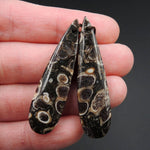 Natural Turritella Agate Fossil Earring Pair Cabochon Cab Pair Drilled Teardrop Matched Earrings Bead Pair E2442