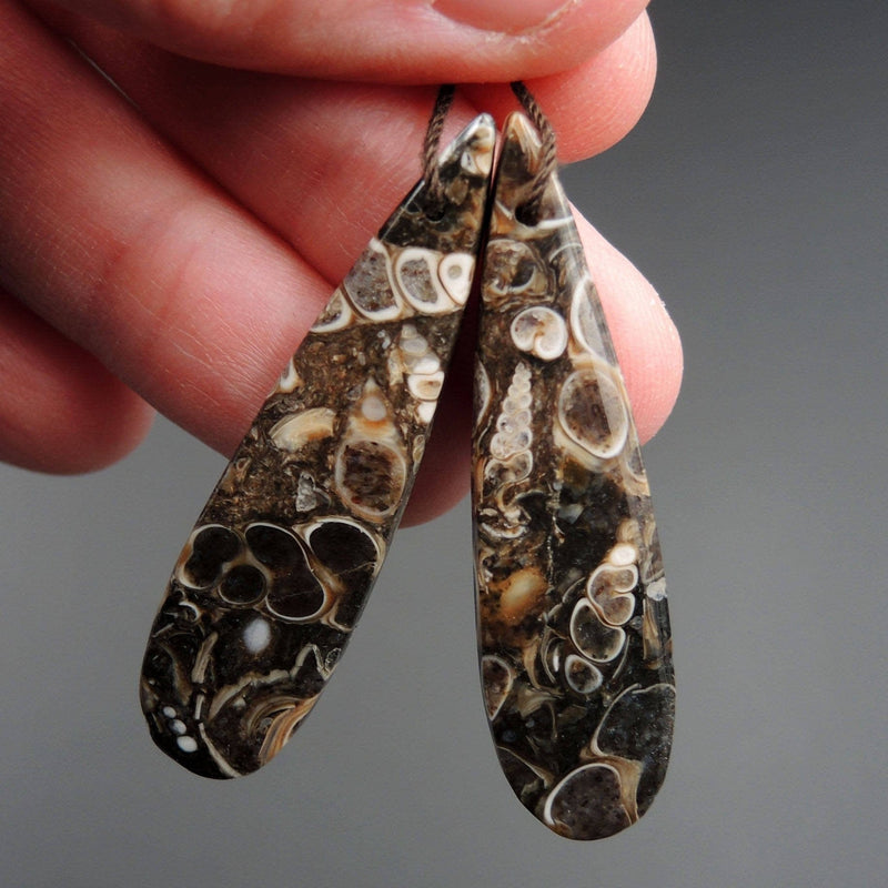 Natural Turritella Agate Fossil Earring Pair Cabochon Cab Pair Drilled Teardrop Matched Earrings Bead Pair E2447