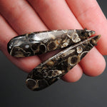 Natural Turritella Agate Fossil Earring Pair Cabochon Cab Pair Drilled Teardrop Matched Earrings Bead Pair E2447