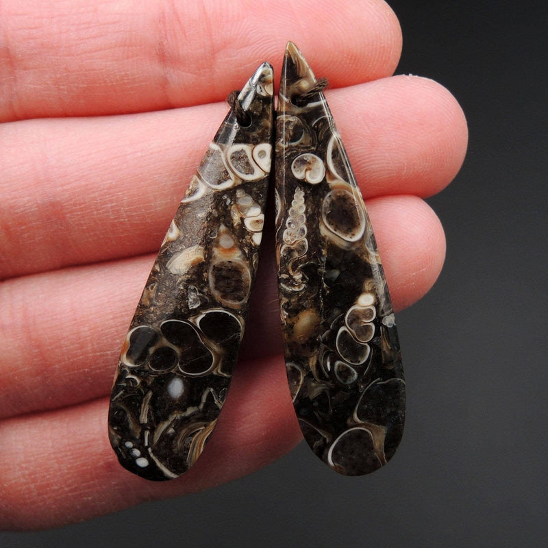 Natural Turritella Agate Fossil Earring Pair Cabochon Cab Pair Drilled Teardrop Matched Earrings Bead Pair E2447