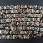 Natural Turritella Agate Fossil Beads Rectangle Rectangular Nugget 18mm x 13mm Cushion Beads Good For Earrings Earthy Gemstone  16" Strand
