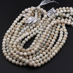 Rare! Natural Siberian Moonstone 6mm 8mm 10mm Round Beads Blue Flashes Exclusively From Us 16" Strand
