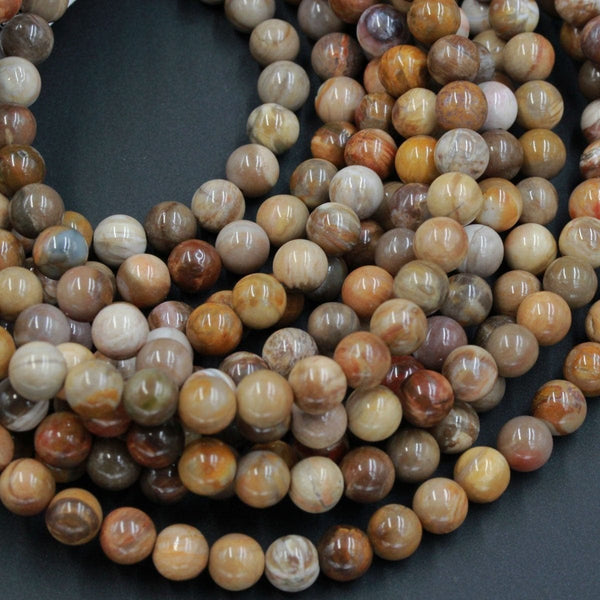 Natural Petrified Wood 4mm 6mm 8mm Round Beads Earthy Brown Beige Stones 15.5&quot; Strand