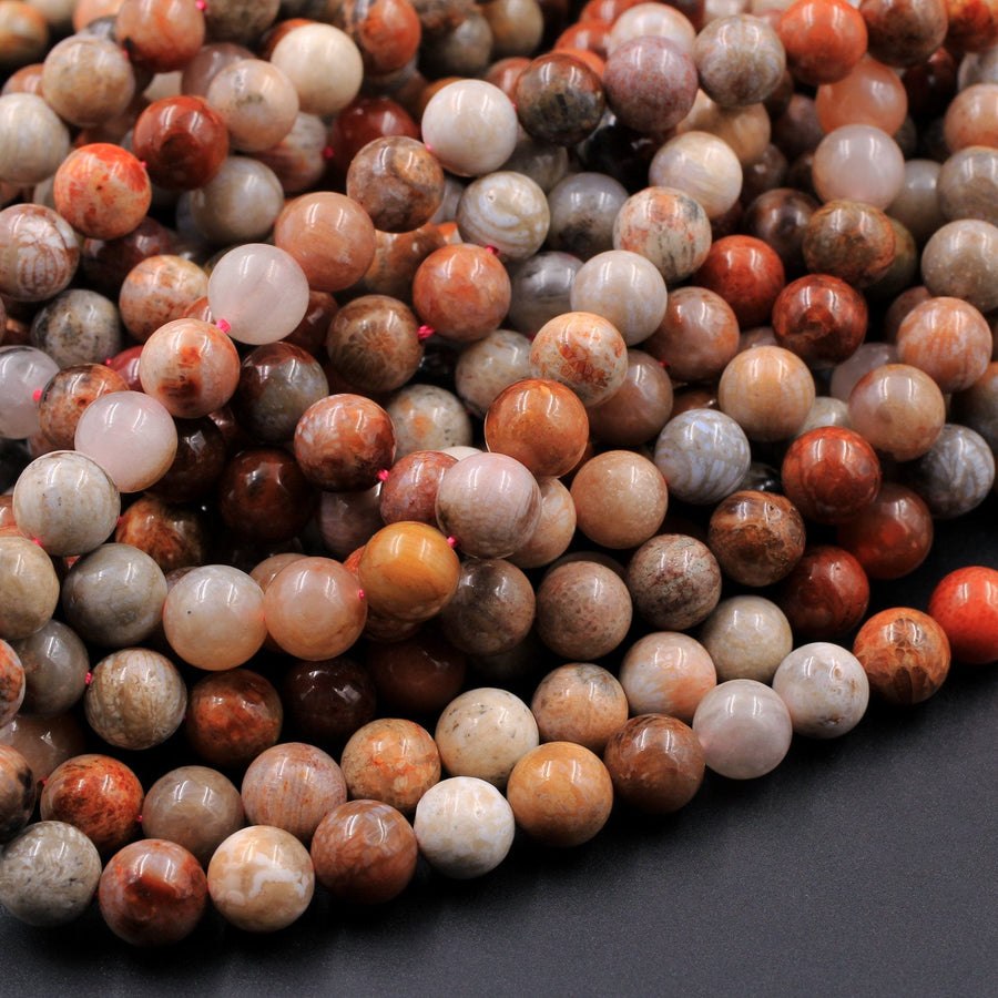Natural Fossil Coral Round Beads 6mm 8mm Vibrant Red Orange Brown Tan Beige Beads 16" Strand