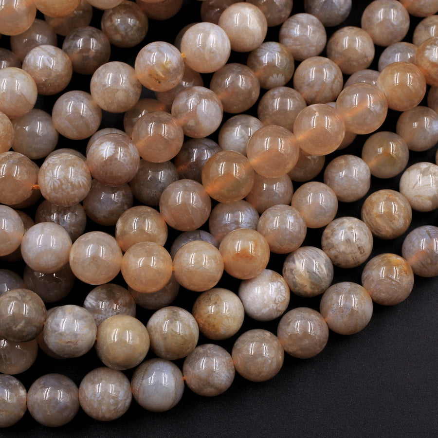 Extremely Rare Agatized Fossil Coral Round 8mm Beads From Indonesia 16" Strand