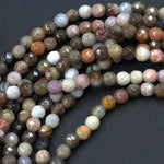 Natural Petrified Wood Fossil Beads 4mm Round Beads Beige Gray Pink Brown Smoky Earthy Natural Stone Beads 16" Strand