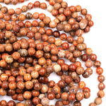 Natural Rusty Orange Red Fossil Coral Round Beads 6mm 8mm 10mm 12mm 14mm 16mm From Indonesia 16" Strand