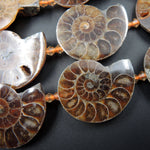 Drilled Half Ammonite Fossil Slice Beads 30mm 35mm 40mm Vertically Drilled Real Genuine Ancient Natural Fossil Pendant Focal Bead 16" Strand