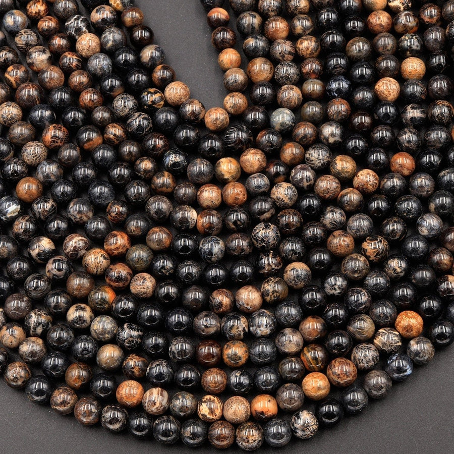 Black Fossil Coral Beads 7mm 8mm 9mm 10mm 12mm Round Beads 16" Strand