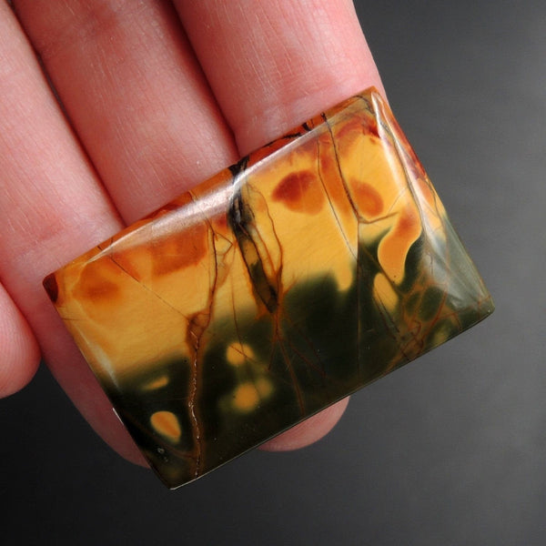 Red Creek Jasper Cherry Creek Jasper Multicolor Picasso Jasper Undrilled Rectangle Natural Stone Cabochon Cab C170