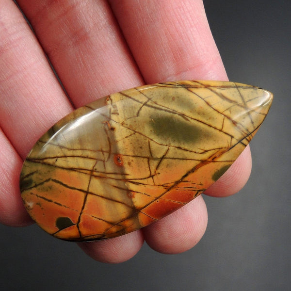 Red Creek Jasper Cherry Creek Jasper Multicolor Picasso Jasper Undrilled Teardrop Natural Stone Cabochon Cab C155