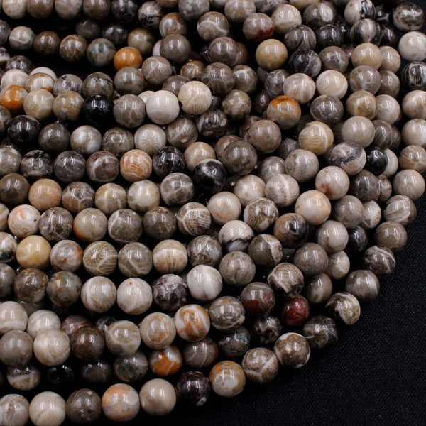 Natural Fossil Coral 6mm Round Beads Dark Grey Brown Tan Beige Beads 16" Strand
