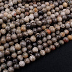 Natural Fossil Coral 6mm Round Beads Dark Grey Brown Tan Beige Beads 16" Strand