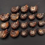 Natural Goat Horn Ammonite Pendants Top Side Drilled Ancient Fossil Focal Beads
