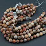 Natural Petrified Wood Beads Fossil Large 14mm Round Beads Earthy Brown Yellow Red Gray Natural Stone 16" Strand