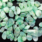 Gemmy! Natural Australian Chrysoprase Beads Side Drilled Freeform Teardrop Drop Nugget Focal Bead Pendant Statement Necklace 16" Strand