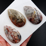 Undrilled Natural Laguna Lace Agate Pendant Cab Ring Size Cabochon Set Teardrop Pendant Shape From Mexico C361