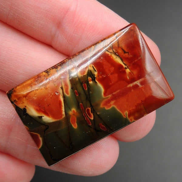 Red Creek Jasper Cherry Creek Jasper Multicolor Picasso Jasper Undrilled Rectangle Natural Stone Cabochon Cab C281
