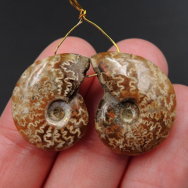 Drilled Whole Small Ammonite Earring Pair Matched Full Baby Ammonite Fossil Cabochon Cab Pair Drilled Matched Earrings Bead Pair E3287
