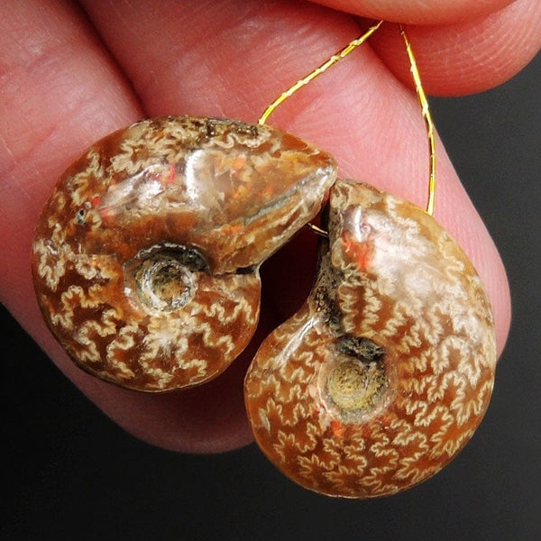 Drilled Whole Small Ammonite Earring Pair Matched Full Baby Ammonite Fossil Cabochon Cab Pair Drilled Matched Earrings Bead Pair E3286